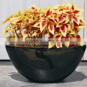 Vietnam Ceramic Glazed Flower Pot thumbnail-1