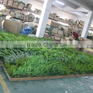 Russia's Project of Artificial Green Wall/park and Shopping Mall Plant Green Wall thumbnail-3