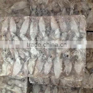 Hot Sale Whole Round Frozen Baby Squid thumbnail-1