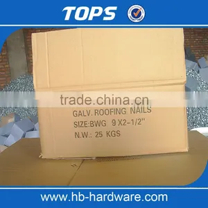 Galvanized Umbrella Head Roofing Nails With Best Price thumbnail-6