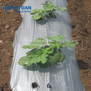 Biodegradable Reflective Silver/black pe Plastic Mulch Film for Japan thumbnail-3