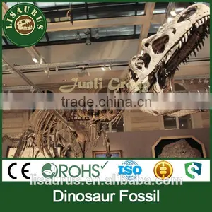 Lisaurus-0238 High Authentic Simulation Dinosaur Fossils for Sale thumbnail-1