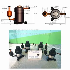 Lightest Weight, Smallest Size and Extraordinary Mini Compressor for Mini Fridge and Micro Air Conditioner thumbnail-4
