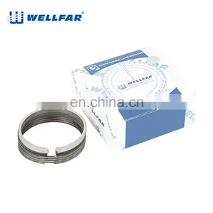 Wellfar PEUGEOT 206 Engine Parts Rings Piston 75mm For PEUGEOT 206 Engine thumbnail-1