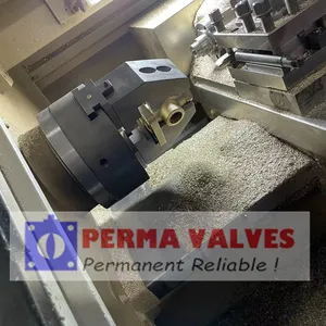 Hengyang Perma Valves Co.,Ltd company overview - view 2 thumbnail