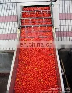 Best Price Tomato Paste Ketchup Pulping Making Machine Evaporator/tomato Paste Production Line/tomato Sauce Processing Plant thumbnail-4