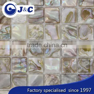 Low Price Natural River Shell Mosaic for Decoration thumbnail-1