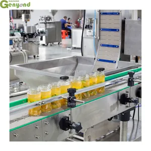 Genyond Pickled Food/Vegetable/Cucumbers/Garlic/Ginger/Onion Chips Filling Machine Production Line thumbnail-2