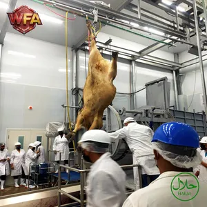 Complete Slaughtering Line Equipment Cow Slaughter Machine Cattle Abattoir Slaughterhouse Plant thumbnail-3