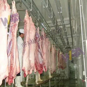 50-500 Heads Per Shift Pig Slaughter Production Line Full Set Pig Abattoir Processing Equipment SUS304 thumbnail-3