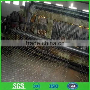 Electric Galvanized Hexagonal Wire Mesh for Chicken House thumbnail-1