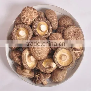 Dried Shiitake Mushroom thumbnail-2
