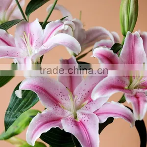Fresh Sorbonne Wedding Decoration Lily Flower Bouquet thumbnail-6