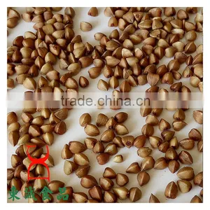 Roasted Buckwheat Organice Grains Wholesale thumbnail-3