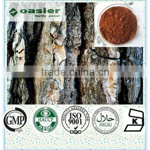 Natural Pine Bark 95%Proanthocyanidin P.e. thumbnail-1