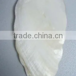 Coconut Button/shell Button/wooden Button/plastic Button thumbnail-1