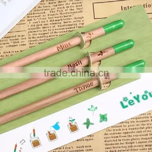 Pencil Can be Planted thumbnail-5