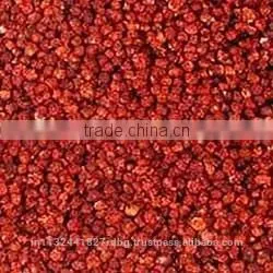 Gloriosa Superba Seed Exporters India thumbnail-1