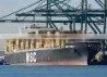 Forwarding Logistics/freight Forwarder From China thumbnail-1