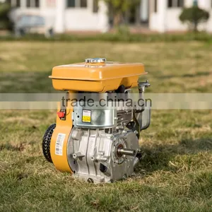 Factory Direct Sale High Quality Same As Robin EY20 5.5HP Gasoline Engine thumbnail-3