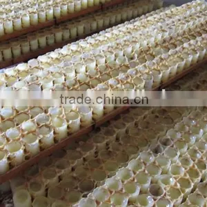 Lyophisized Royal Jelly Powder thumbnail-5