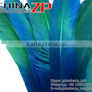 CHINAZP Natural Plumage Wonderful Quality Dyed Blue Green Ombre Bicolourable Turkey Feathers for Party Decoration thumbnail-4