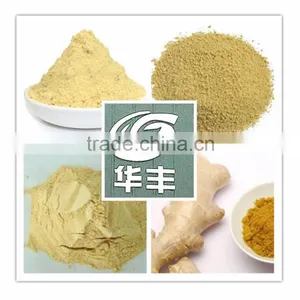 Ginger Root Extract Ginger Powder Factory Supply Directly thumbnail-2