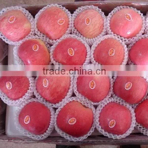 Chinese Fresh Fuji Apple With Best Price for Export thumbnail-1
