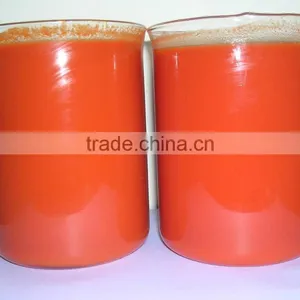Fresh Goji Juice Concentrate thumbnail-4