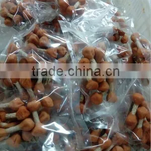 Dog Bones Treats Chicken Flavor Dog Dental Chews thumbnail-4