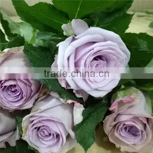 Wholesle Different Types of Pink Rose Flowers Arrangements Made in China thumbnail-6