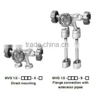 Manifold Valves thumbnail-1