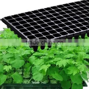 128 Cells Propagation Cell Tray thumbnail-5