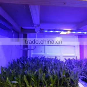MarsHydro Marsii Led Grow Light 60 120cm Bar Full Spectrum Led Grow Light thumbnail-2
