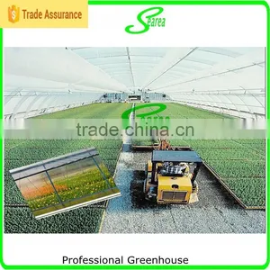 Easy Assemble Greenhouse for Tomatoes for Sale thumbnail-4