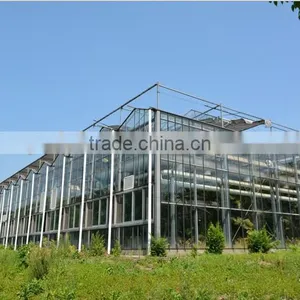 XINHE Glass Greenhouse for Sale thumbnail-1