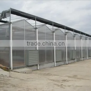 2016 Customber Design Glass Greenhouse thumbnail-1