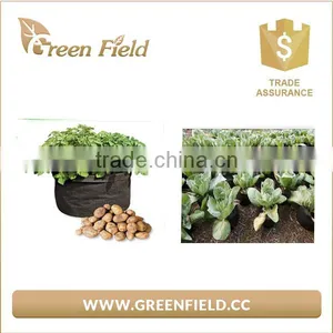 Wholesale Vegetable Felt Planter Bag Felt Potato/Carrot Planter Pots thumbnail-2