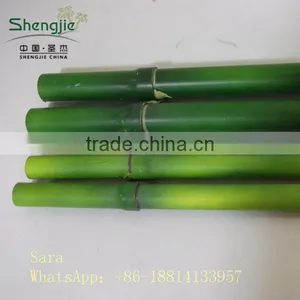 Indoor Foliage, Dracaena Sanderiana,Lucky Bamboo thumbnail-5