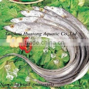 Frozen Ribbon Fish thumbnail-1