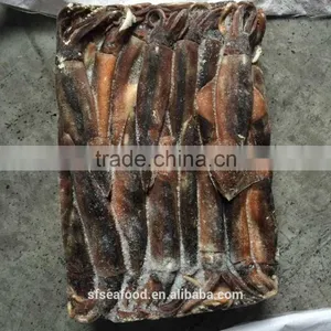 China Supplier Frozen Illex Squid thumbnail-1