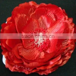 Single Rose thumbnail-1