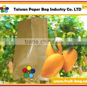 TPBI Mango Wrapping Paper Bag Mango Packing Bag Mango Paper Bag thumbnail-1