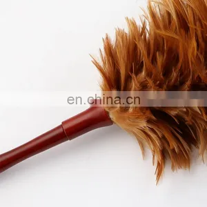 Rattan Feather Fluffy Duster Goood Quality Chicken Feather Dusters thumbnail-3