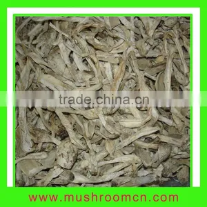 Coprinus Comatus thumbnail-1