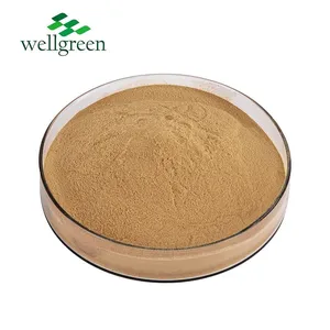 FREE SAMPLE Pure Ahcc Supplement Extract Bulk Shiitake Private Label Mycelia Shitake Mushroom Powder thumbnail-2
