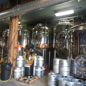 Automatic Low Temperature Fermentation System for Industrial Beer Brewing thumbnail-1