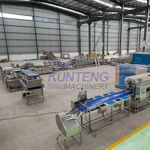 Full Automatic Continuous Fryer Machine for French Fries Chips Chicken Fish Meatball Peanut Potato Deep Frying Production Line thumbnail-5