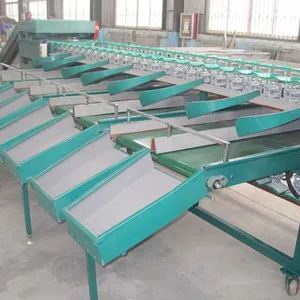 Apple Dates Size Grading Sorting Machine/mango Fruit Grading Machine thumbnail-5