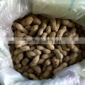 Washed Peanut Inshell thumbnail-1